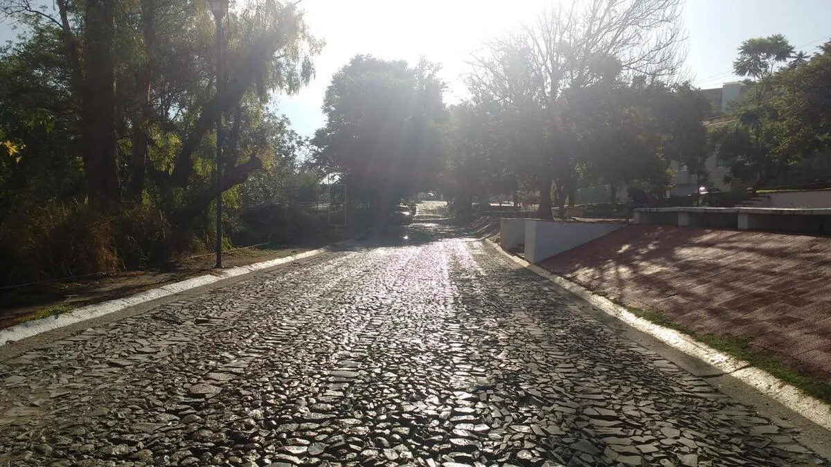 Foto 5 de Terreno en Venta en Las Cañadas - Bosque de San Isidro 2020