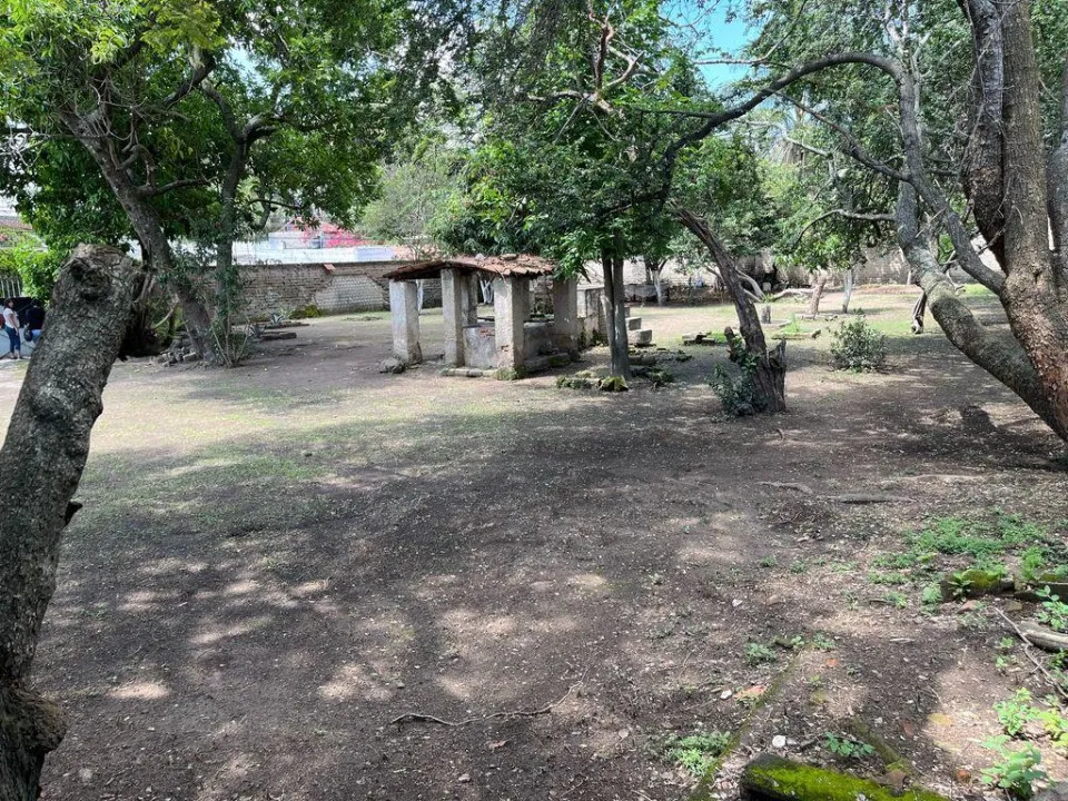 Foto 2 de Terreno en venta en Ramón Corona, San Agustin , Tlajomulco de Zuñiga