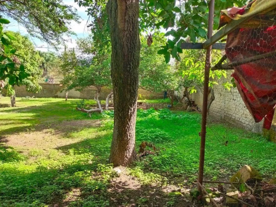 Foto 3 de Terreno en venta en Ramón Corona, San Agustin , Tlajomulco de Zuñiga