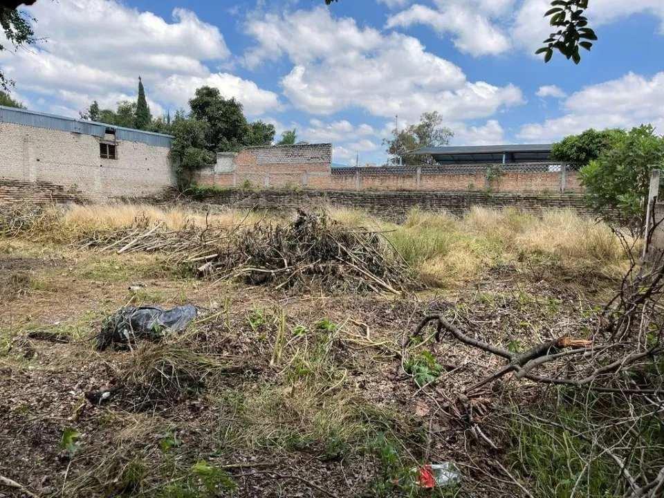 Foto 4 de Terreno en venta en Ramón Corona, San Agustin , Tlajomulco de Zuñiga