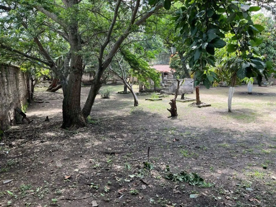 Foto 5 de Terreno en venta en Ramón Corona, San Agustin , Tlajomulco de Zuñiga