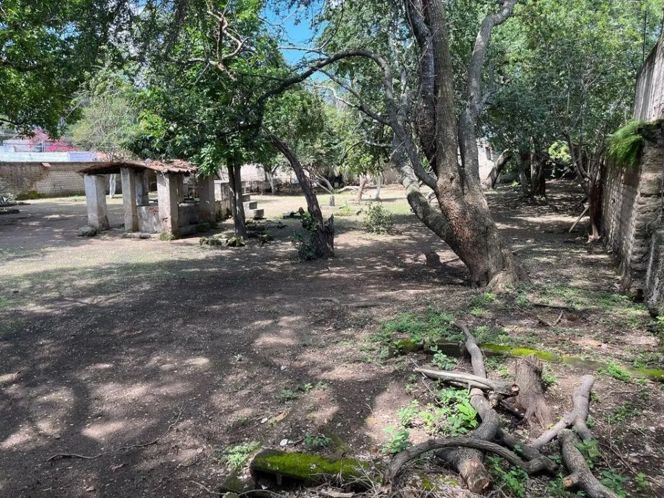 Foto 7 de Terreno en venta en Ramón Corona, San Agustin , Tlajomulco de Zuñiga