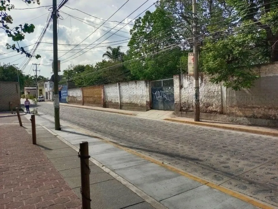 Foto 8 de Terreno en venta en Ramón Corona, San Agustin , Tlajomulco de Zuñiga
