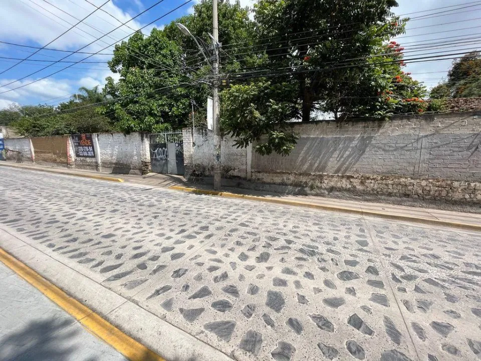 Foto 9 de Terreno en venta en Ramón Corona, San Agustin , Tlajomulco de Zuñiga