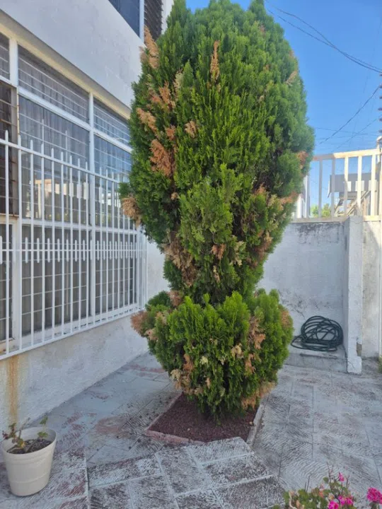 Foto 4 de Casa en venta en San Antonio De Padua, Camino Real, Zapopan