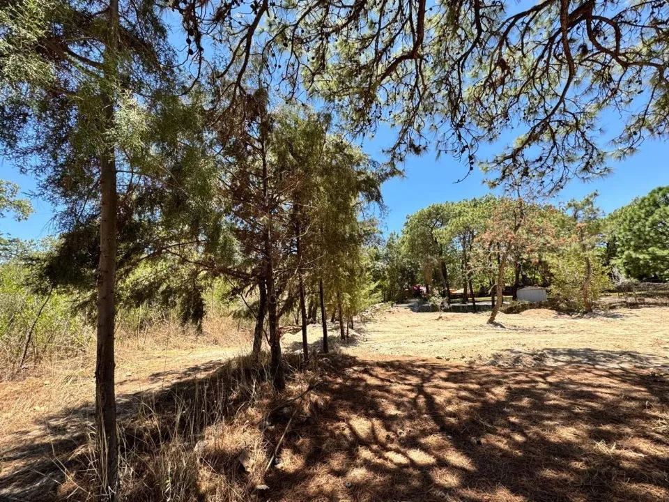 Foto 6 de Terreno en venta en Fraccionamiento Hacienda La Herradura, Zapopan, Jal. , La Herradura, Zapopan