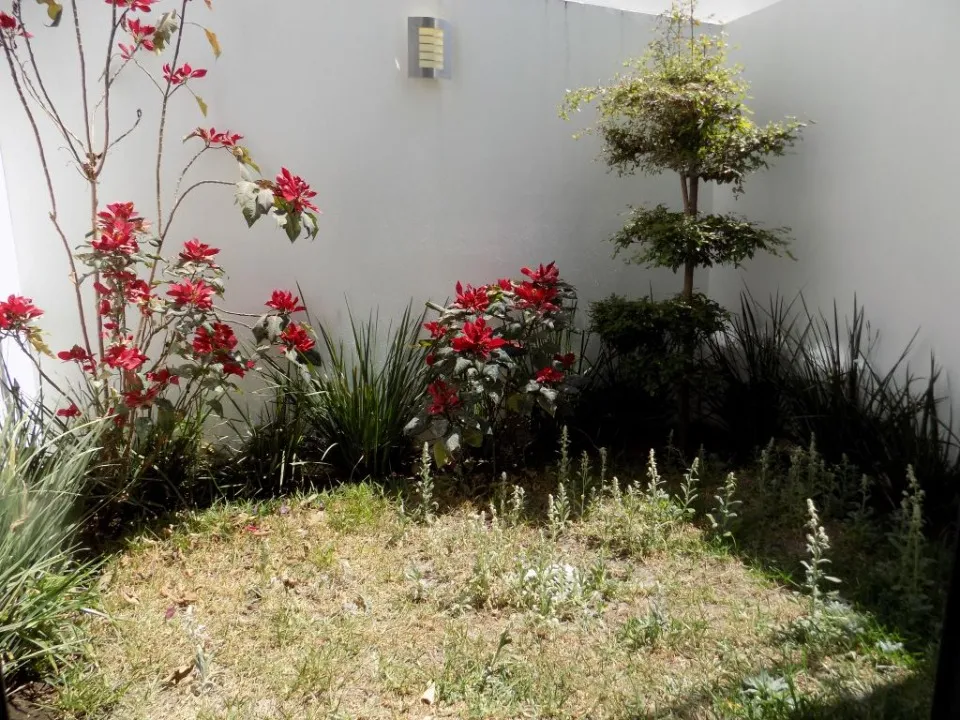 Foto 7 de Casa en renta en Av Quintas del Bosque, El Centinela, Zapopan