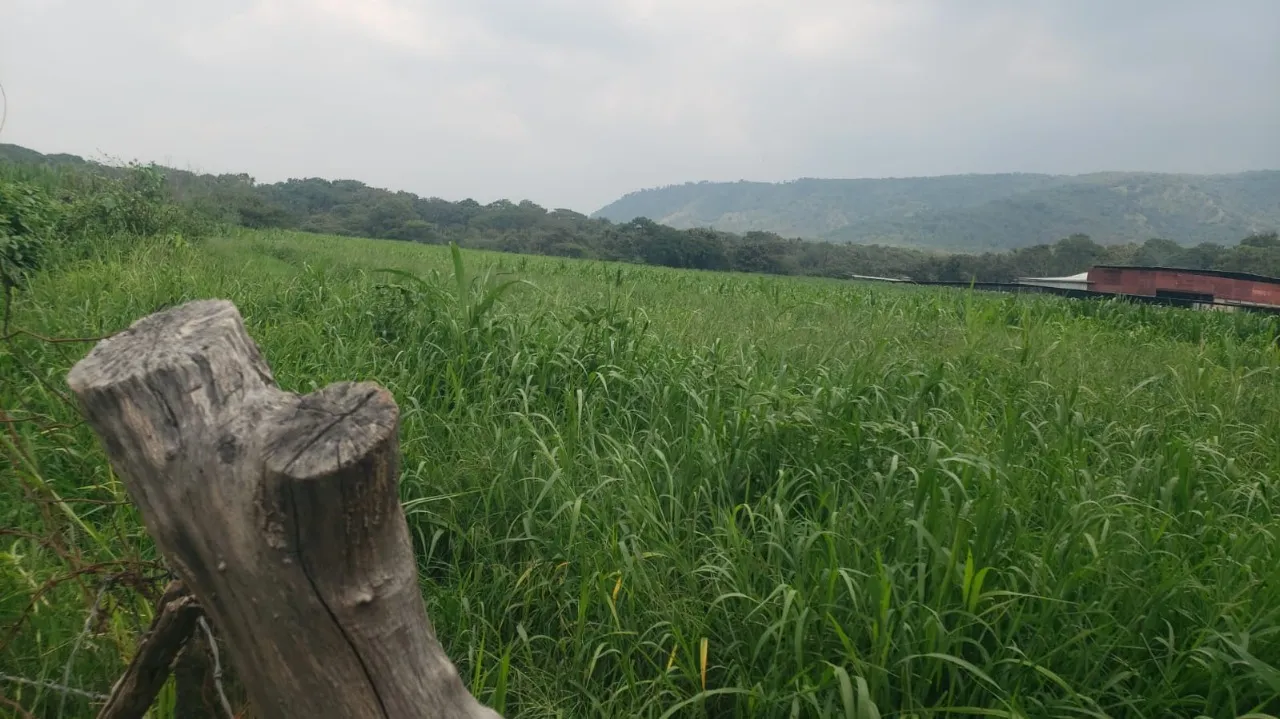 Terreno en venta en Tesistan, La Venta del Astillero, Zapopan
