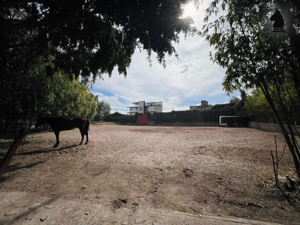 Foto 9 de Terreno en renta en Calle Camino Nacional, Mariano Otero, Zapopan