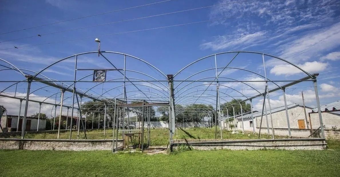 TERRENO RUSTICO EN VENTA EN TLAJOMULCO DE ZUÑIGA