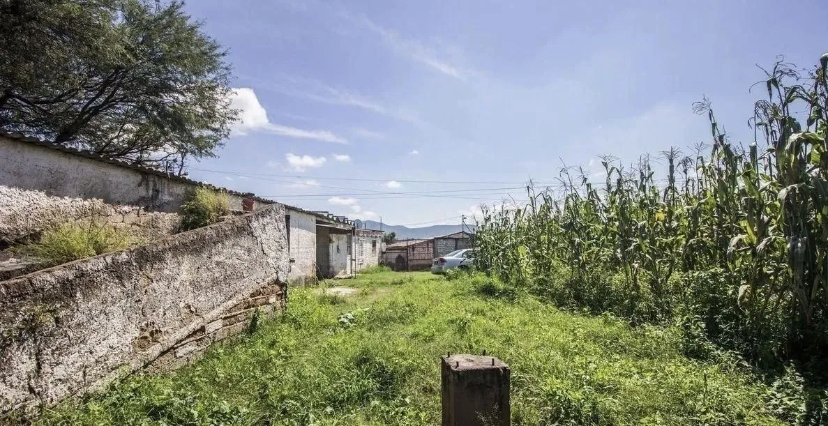 Foto 4 de TERRENO RUSTICO EN VENTA EN TLAJOMULCO DE ZUÑIGA