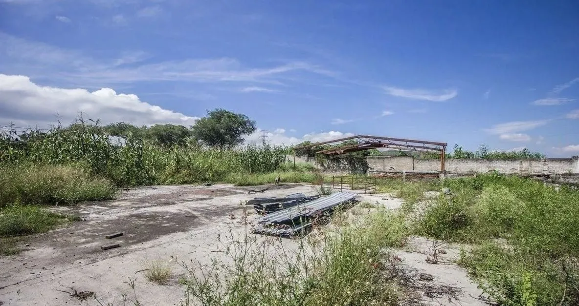 Foto 7 de TERRENO RUSTICO EN VENTA EN TLAJOMULCO DE ZUÑIGA