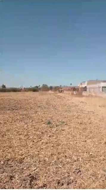 Foto 2 de VENTA TERRENO 3 HECTÁREAS