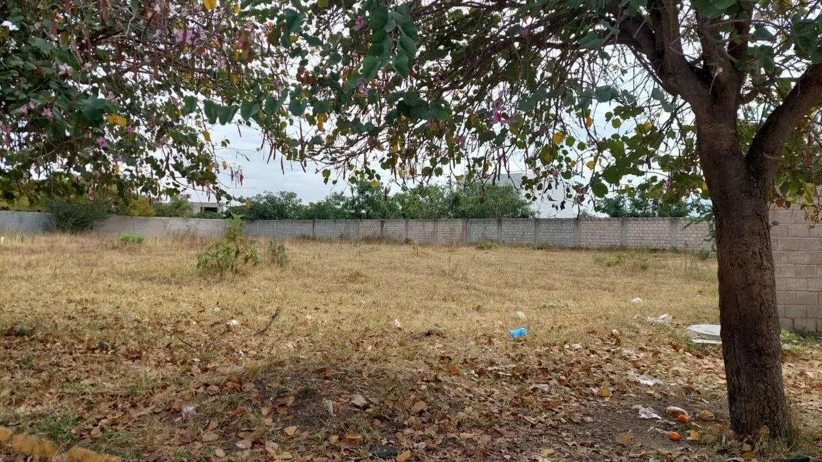 Foto 3 de Terreno en venta en Bosques de Santa Anita, junto a Hábitat San Millán