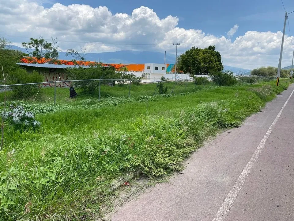 Foto 3 de Renta de Terreno en Cajititlan