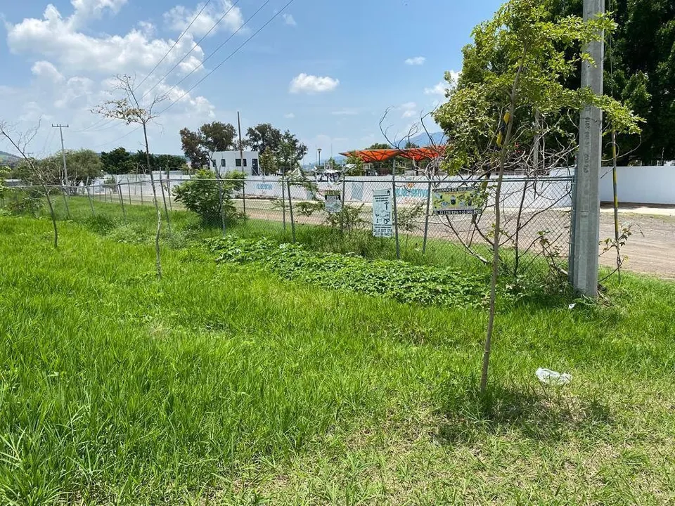 Foto 4 de Renta de Terreno en Cajititlan