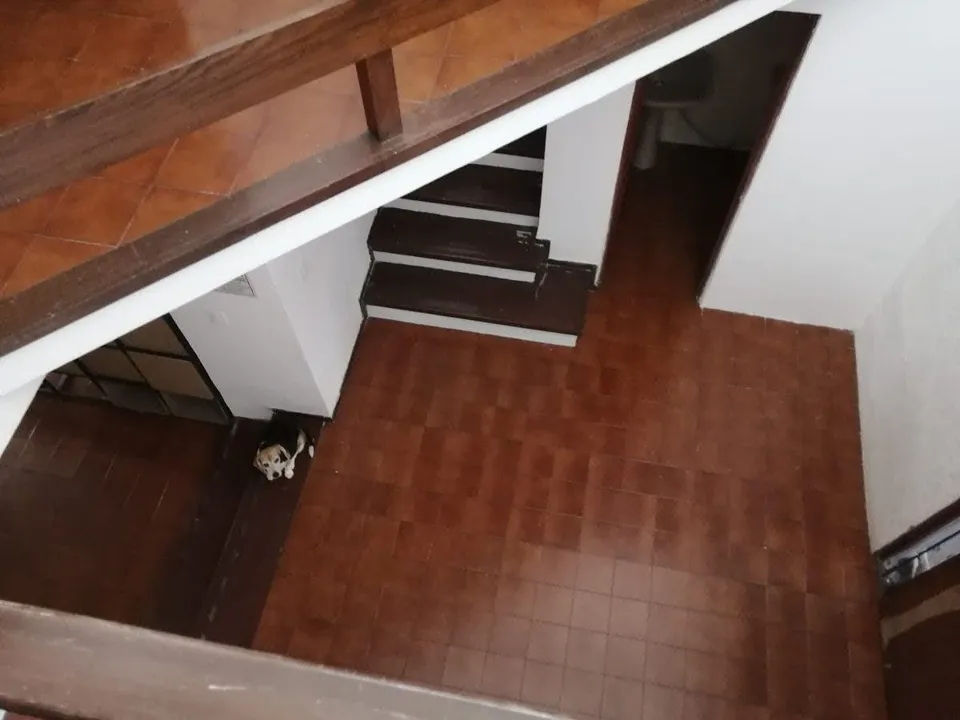 Foto 5 de CASA EN VENTA DE OPORTUNIDAD PARA REMODELAR  EN "PATRIA UNIVERSIDAD " ZAPOPAN