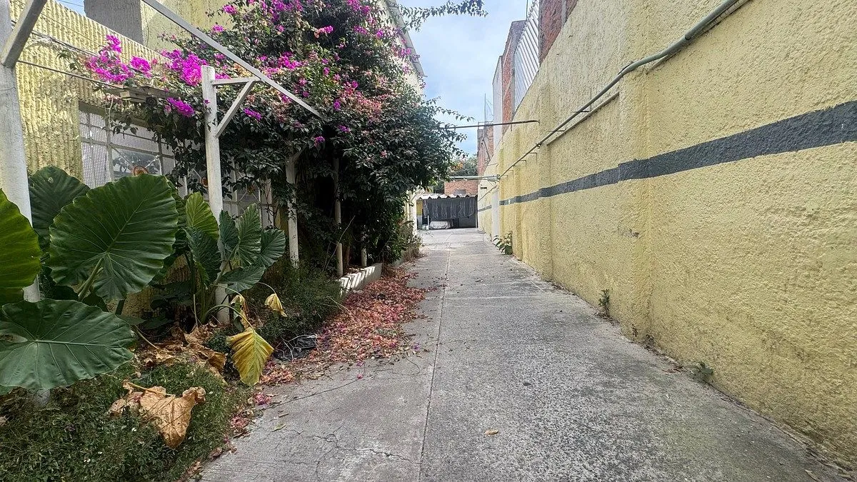 Foto 2 de OBRADOR Y CARNICERÍA EN VENTA