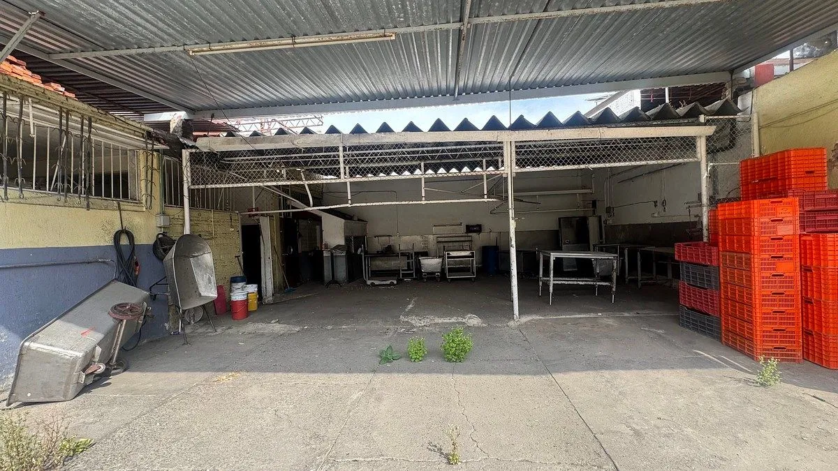 Foto 6 de OBRADOR Y CARNICERÍA EN VENTA