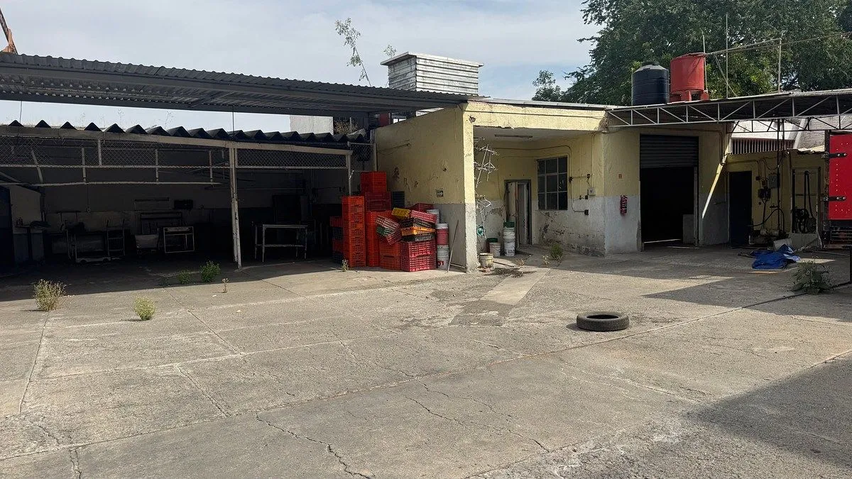 Foto 7 de OBRADOR Y CARNICERÍA EN VENTA