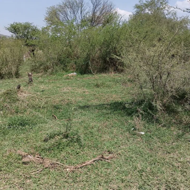 TERRENO EN FRAC. LA PROVIDENCIA TLAJOMULCO