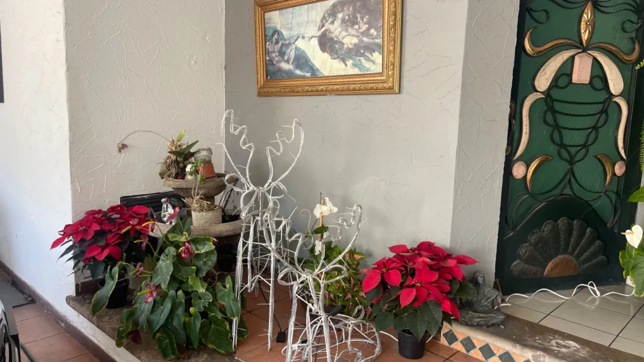 Foto 9 de Casa en venta en Avenida Moctezuma Zapopan , Jardines del sol , Zapopan