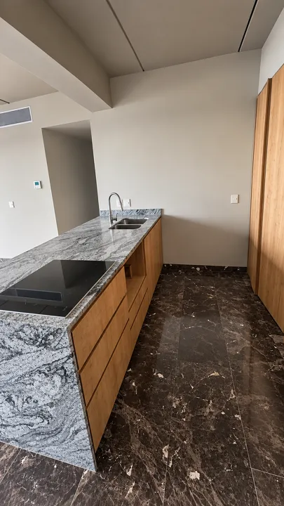 Foto 3 de Departamento nuevo en renta de 2 recámaras en Providencia