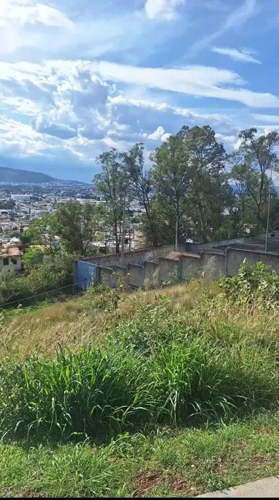 Foto 3 de Terreno en Paisajes del Tesoro