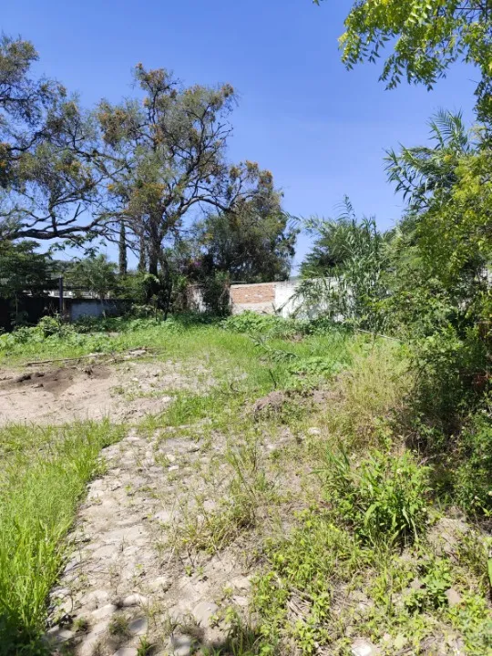 Foto 4 de Terreno en venta en Calle Higuera, ., Tlajomulco de Zúñiga