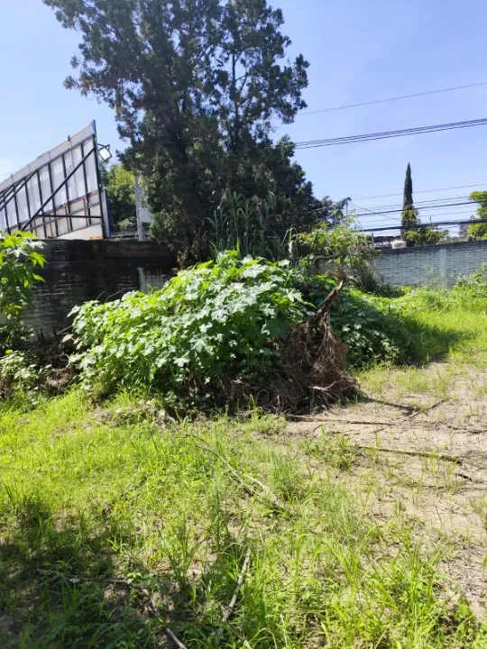 Foto 6 de Terreno en venta en Calle Higuera, ., Tlajomulco de Zúñiga