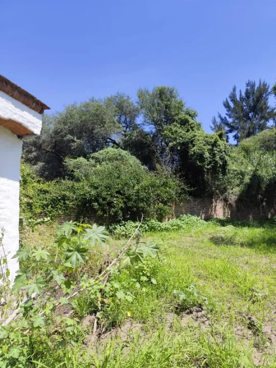 Foto 9 de Terreno en venta en Calle Higuera, ., Tlajomulco de Zúñiga