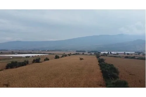 Foto 5 de Terreno en venta en Oconagua, Lomas de Tejeda, Tlajomulco de Zuñiga