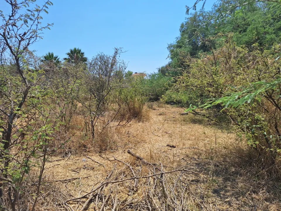 Foto 3 de Terreno en venta en Calzada De Las Casuarinas, Jardines De La Calera , Tlajomulco De Zuñiga