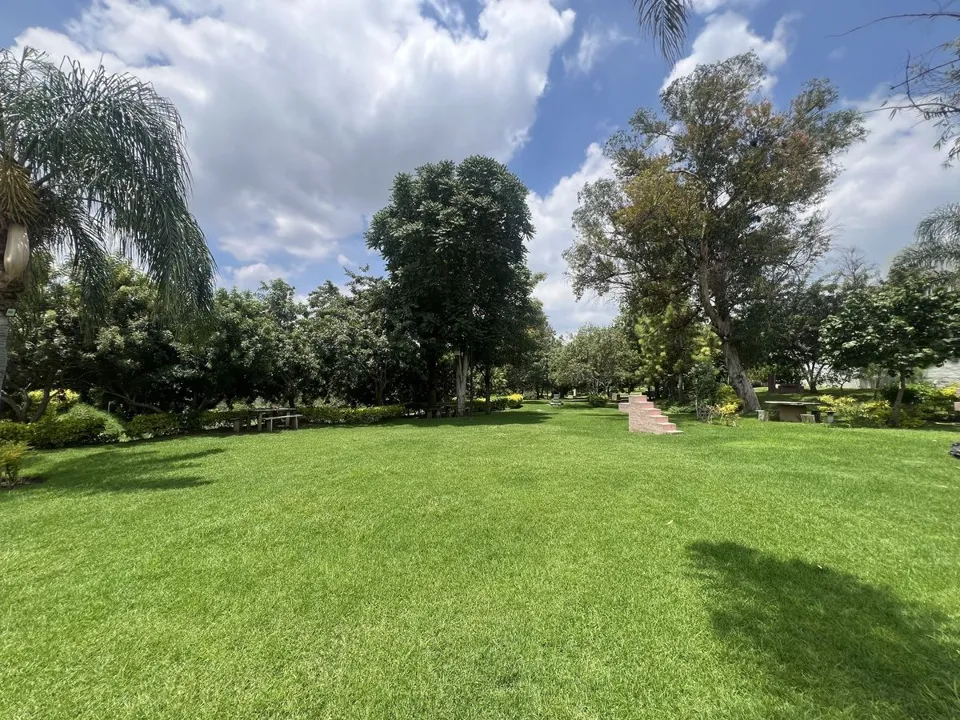 Foto 8 de Terreno en venta Colinas Santa Anita