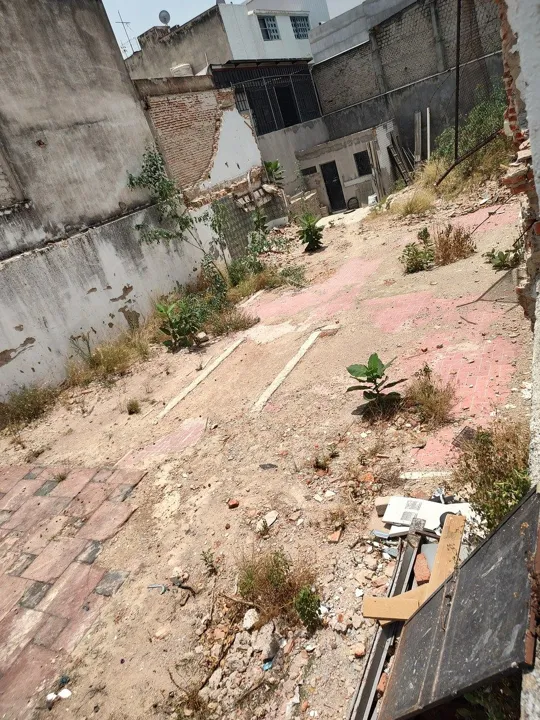 Foto 7 de Casa + terreno contiguo en RENTA, Providencia, uso de suelo comercial y habitaci