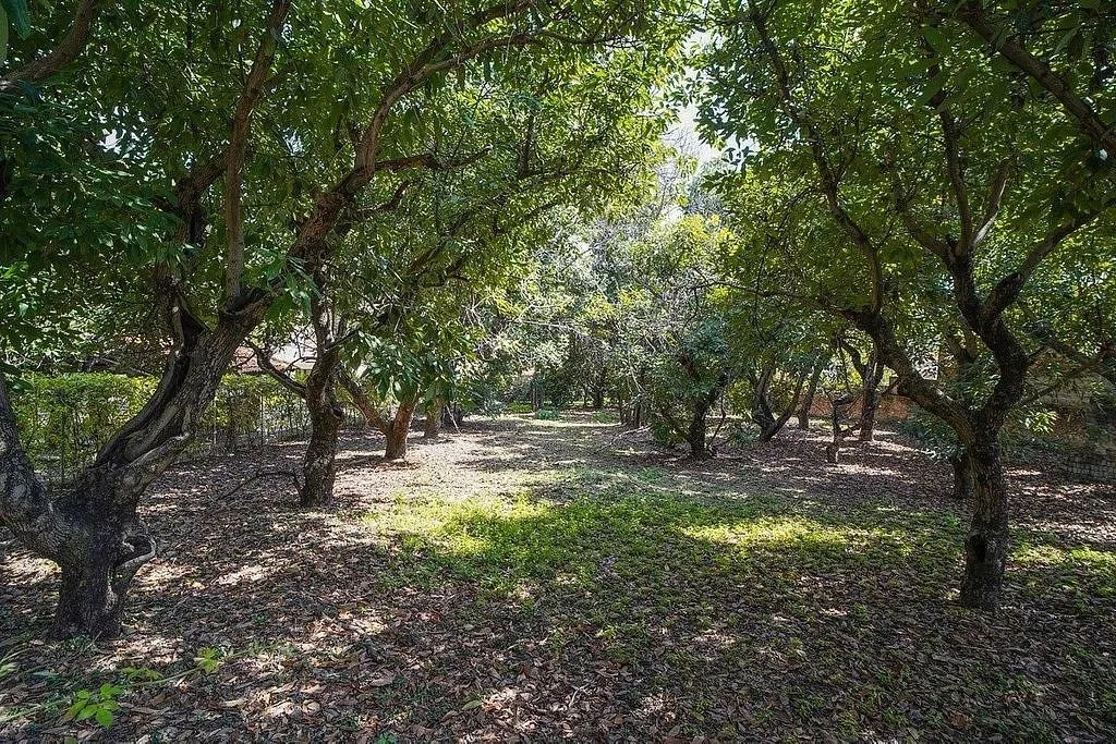 Foto 2 de Terreno en venta en LOS GAVILANES, Tlajomulco de Zuñiga