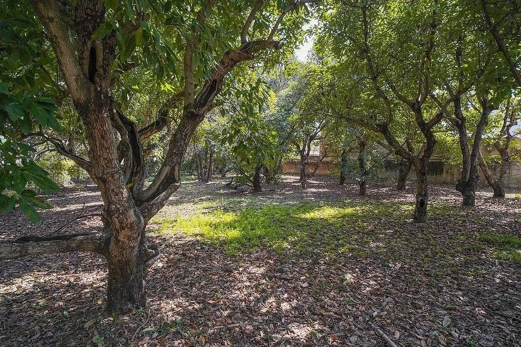 Foto 3 de Terreno en venta en LOS GAVILANES, Tlajomulco de Zuñiga