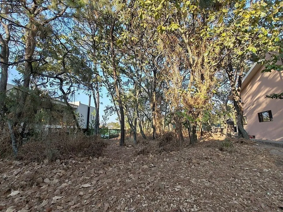 Foto 4 de EXCELENTE TERRENO PLANO QUE DA A CAMPO DE GOLF