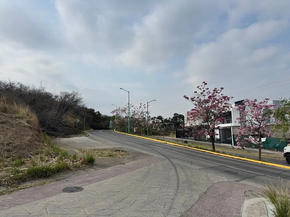 Foto 2 de Terreno con Vista en Colinas de San Isidro