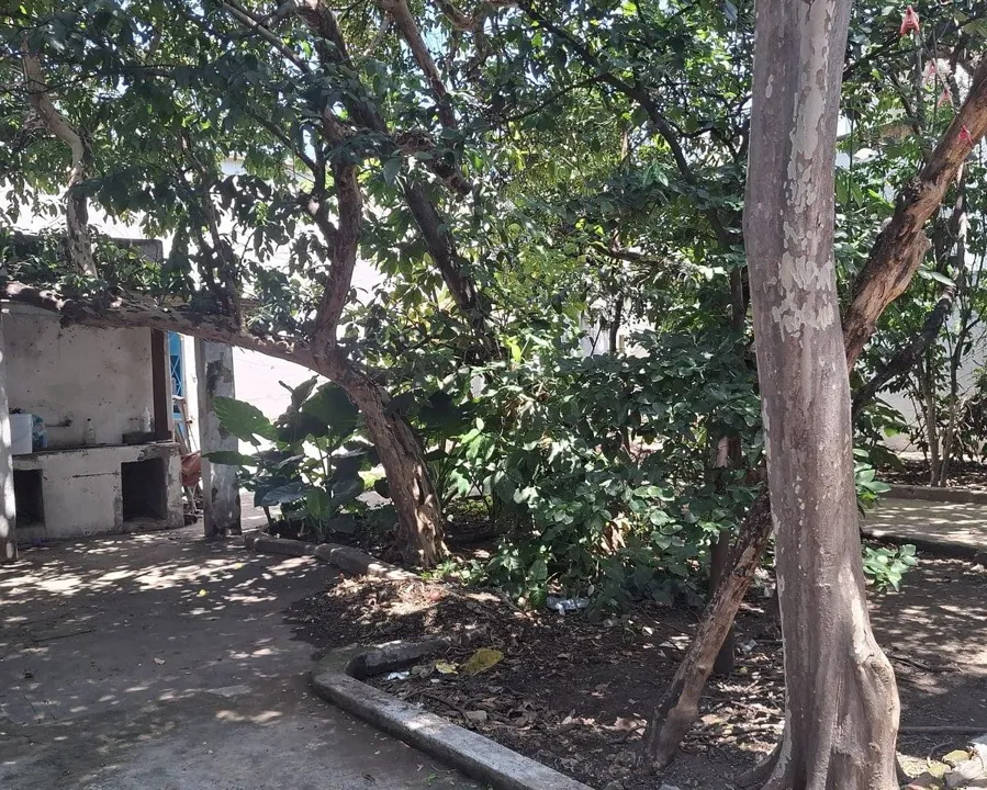Foto 3 de Terreno en Venta en colonia el Santuario, sector Hidalgo