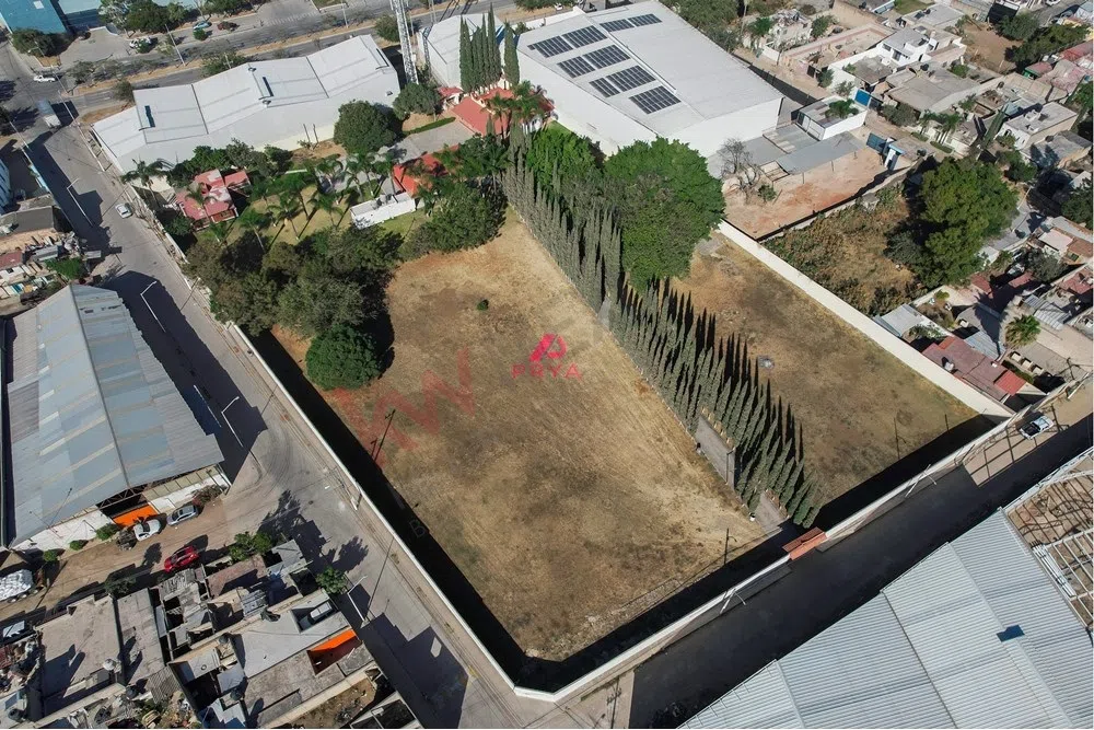 Foto 2 de Terreno en Renta en Colonia La Palmira, Zapopan , Jallisco