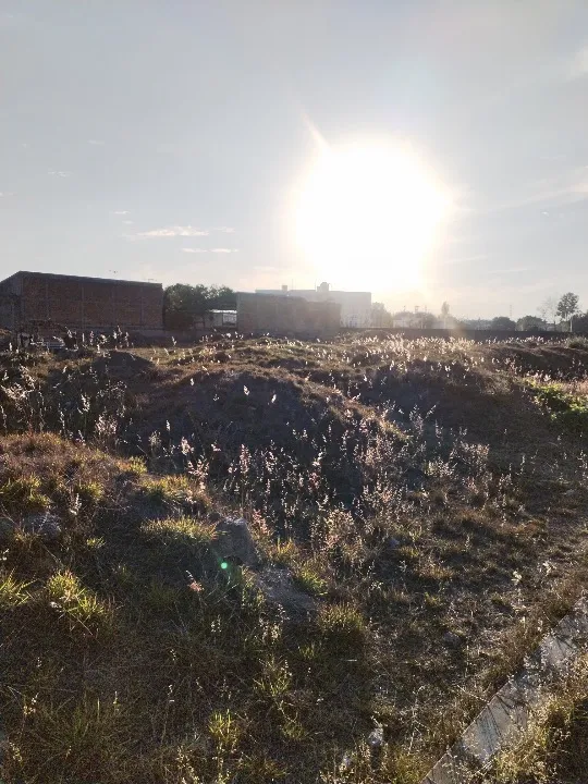 Foto 2 de Terreno en venta en Los Robles Sur, Parques Zapopan, Zapopan