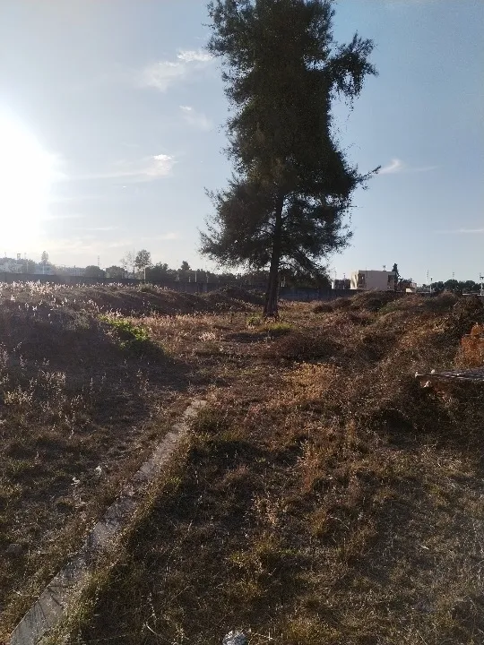 Foto 3 de Terreno en venta en Los Robles Sur, Parques Zapopan, Zapopan