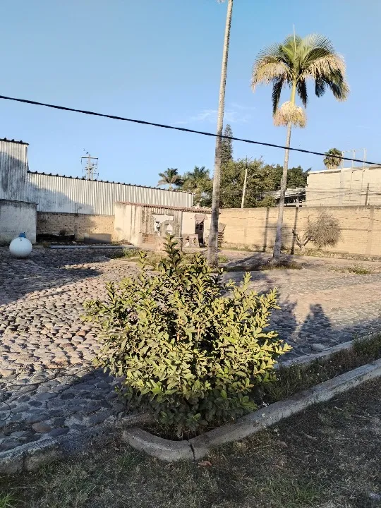 Foto 9 de Terreno en venta en Los Robles Sur, Parques Zapopan, Zapopan