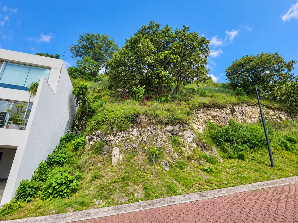 Terreno en Venta en Bugambilias – 257 m² Coto Cristal