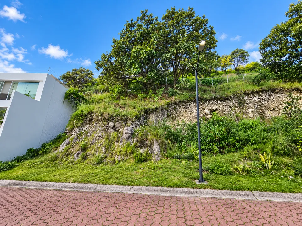 Foto 2 de Terreno en Venta en Bugambilias – 257 m² Coto Cristal
