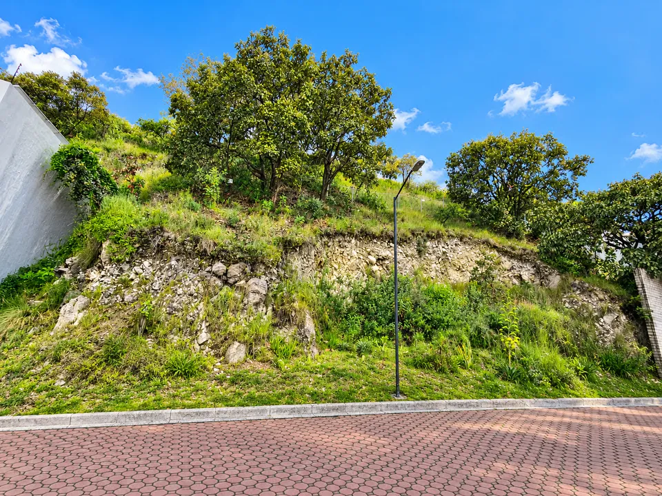 Foto 3 de Terreno en Venta en Bugambilias – 257 m² Coto Cristal