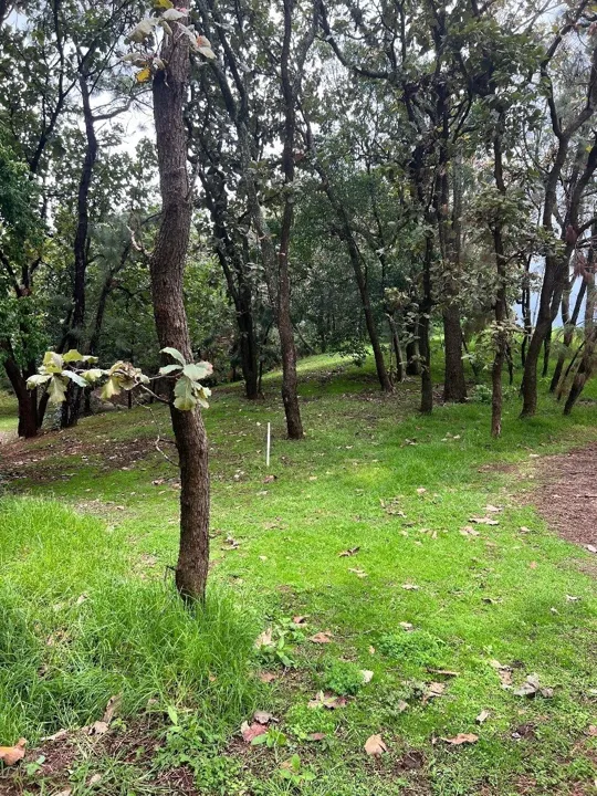 Foto 9 de HERMOSO TERRENO JUNTO A CAMPO DE GOLF CATEGORIA AAA