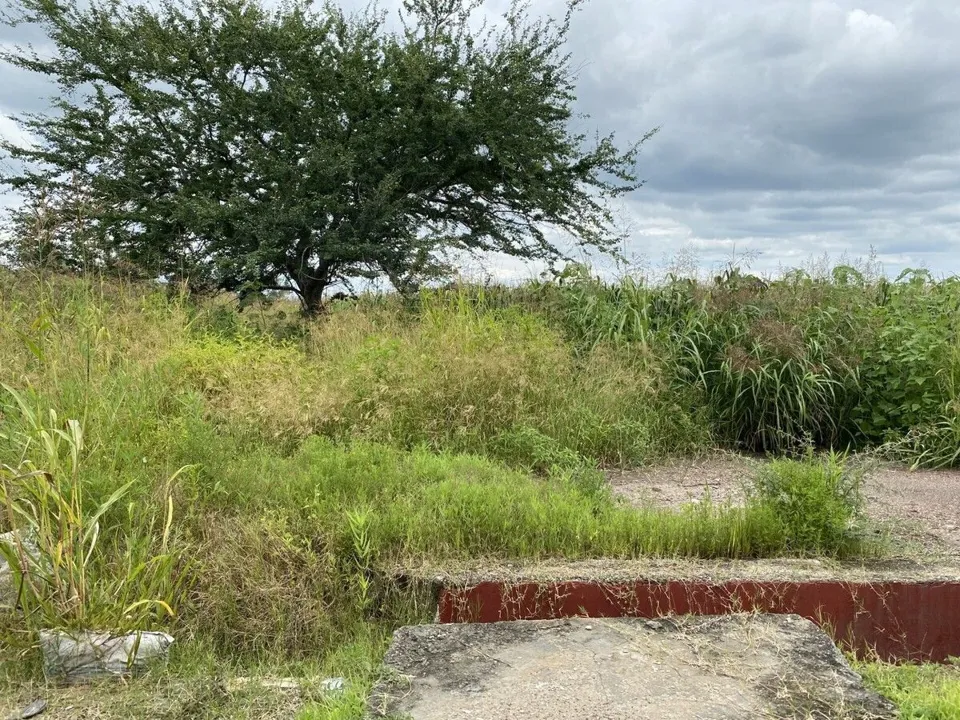 Foto 4 de Terreno en Venta Col. El Zapote, Tlajomulco de Zúñiga, 3er Paso a Dominio Pleno