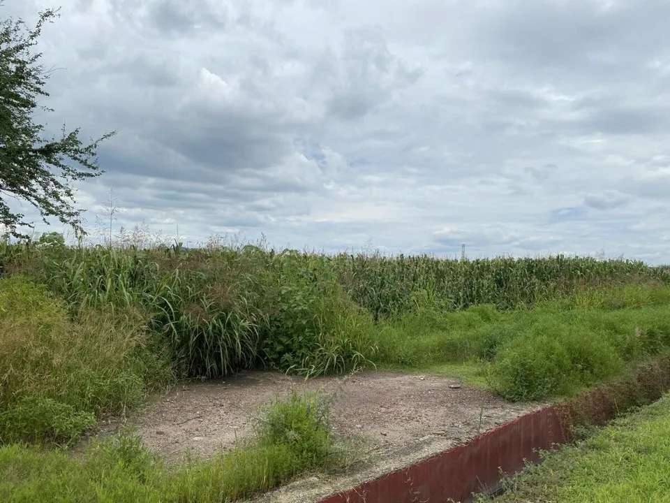 Foto 5 de Terreno en Venta Col. El Zapote, Tlajomulco de Zúñiga, 3er Paso a Dominio Pleno